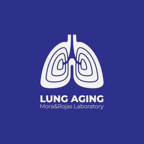 Lung Aging